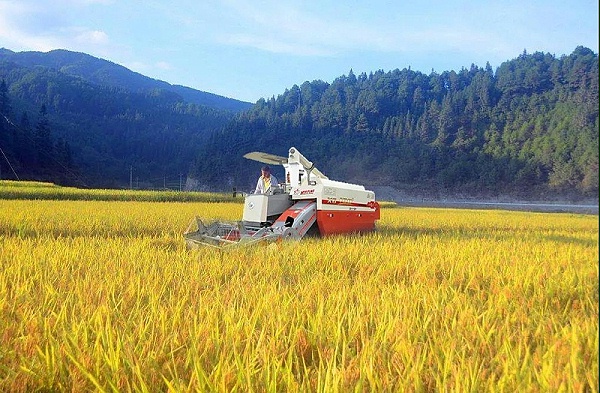 微信图片_20200927110706