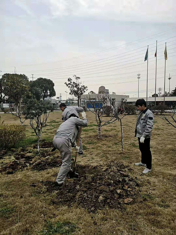 锐生党员植树1