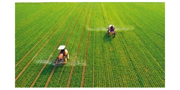 连年丰收库存充足 我国粮食供应能应对各种考验