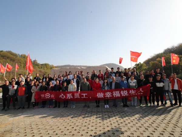公司团建