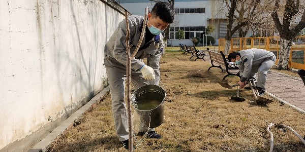 植树节，联农邀您一起播种希望