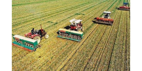 国家统计局：全国冬小麦播种面积3.31亿亩